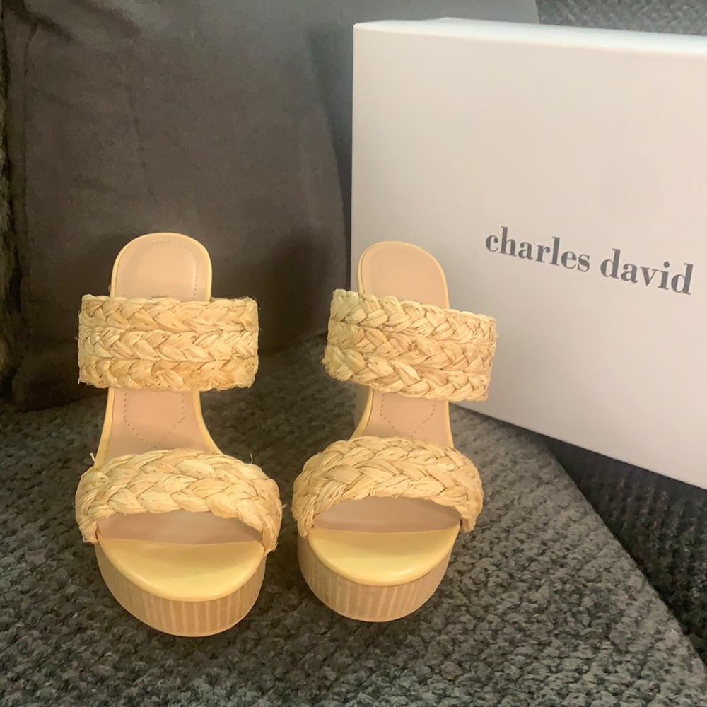 Nude Charles David Wedges